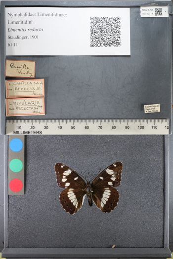 Media type: image;   Entomology 140714